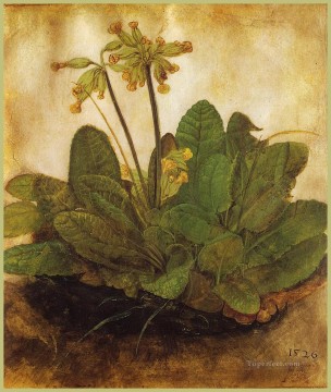 プリムラ アルブレヒト デューラーの古典的な花 Oil Paintings